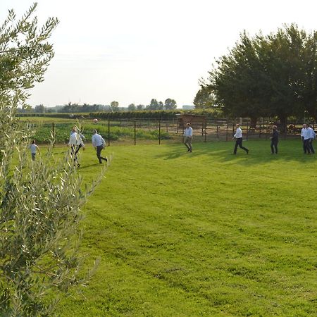 Agriturismo Al Casale Lonigo Exteriör bild